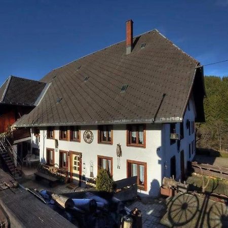 Schwarzwaldhaus Krebs - Villa Kunterbunt, Lenzkirch, Feldberg Zewnętrze zdjęcie