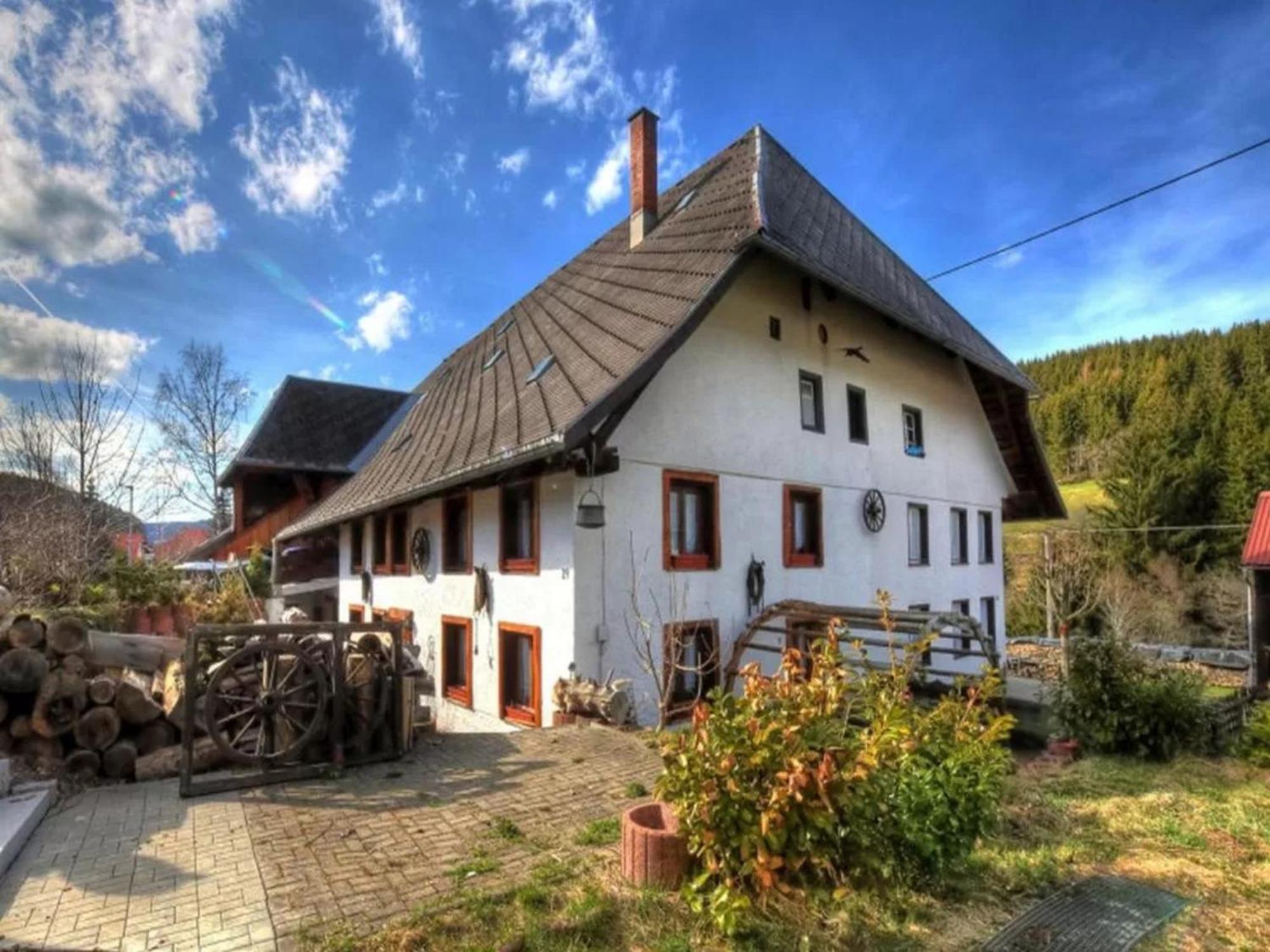 Schwarzwaldhaus Krebs - Villa Kunterbunt, Lenzkirch, Feldberg Zewnętrze zdjęcie